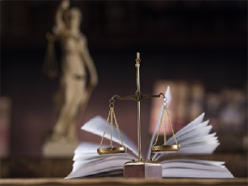 离婚协议书需要几张纸：专业指南与实用建议